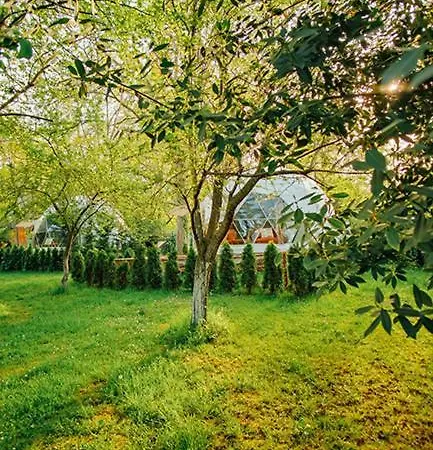 Velipay Gayrimenkul Kiralama Holiday park *